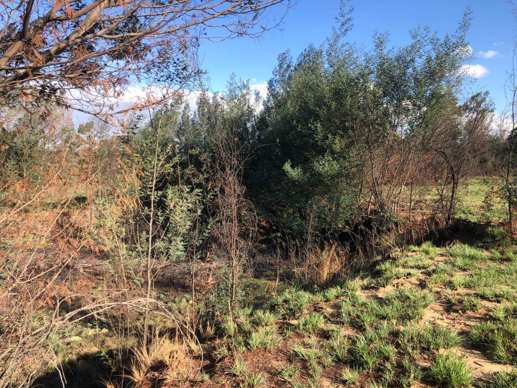 4.2 ha Land available in Tierpoort photo number 12