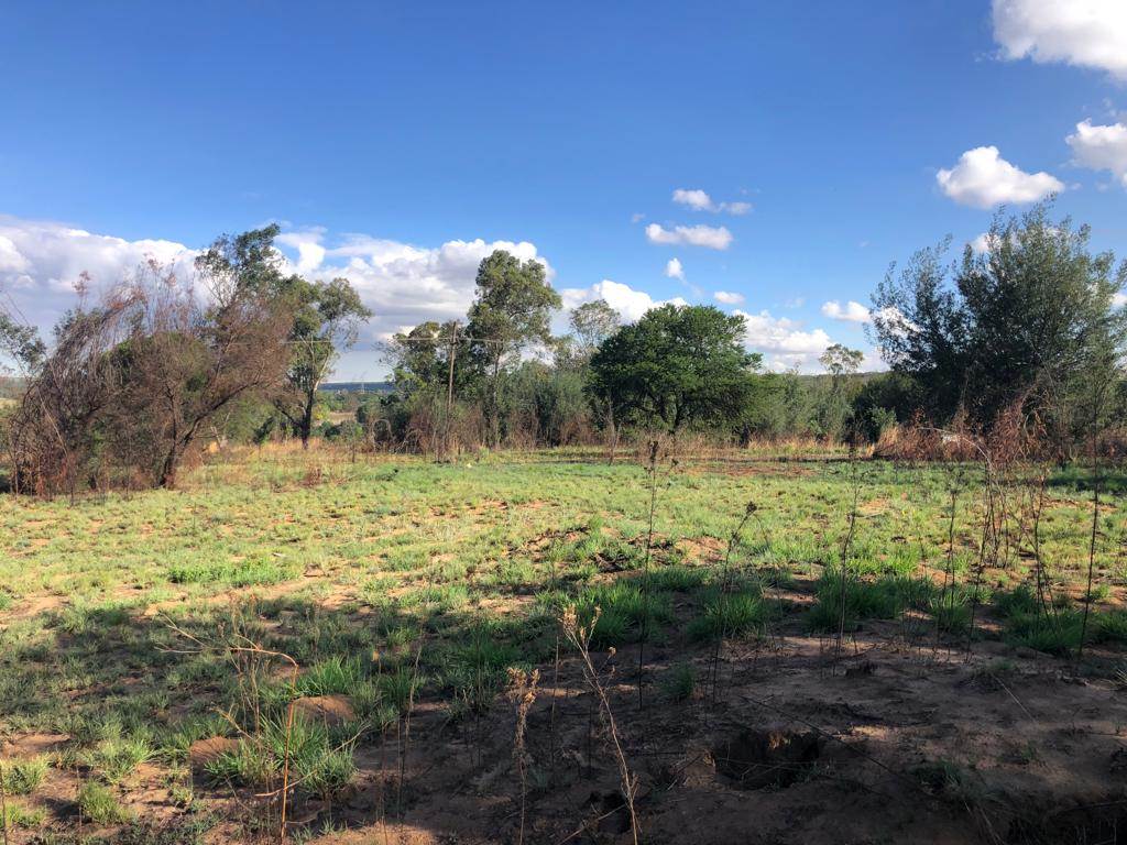 4.2 ha Land available in Tierpoort photo number 13