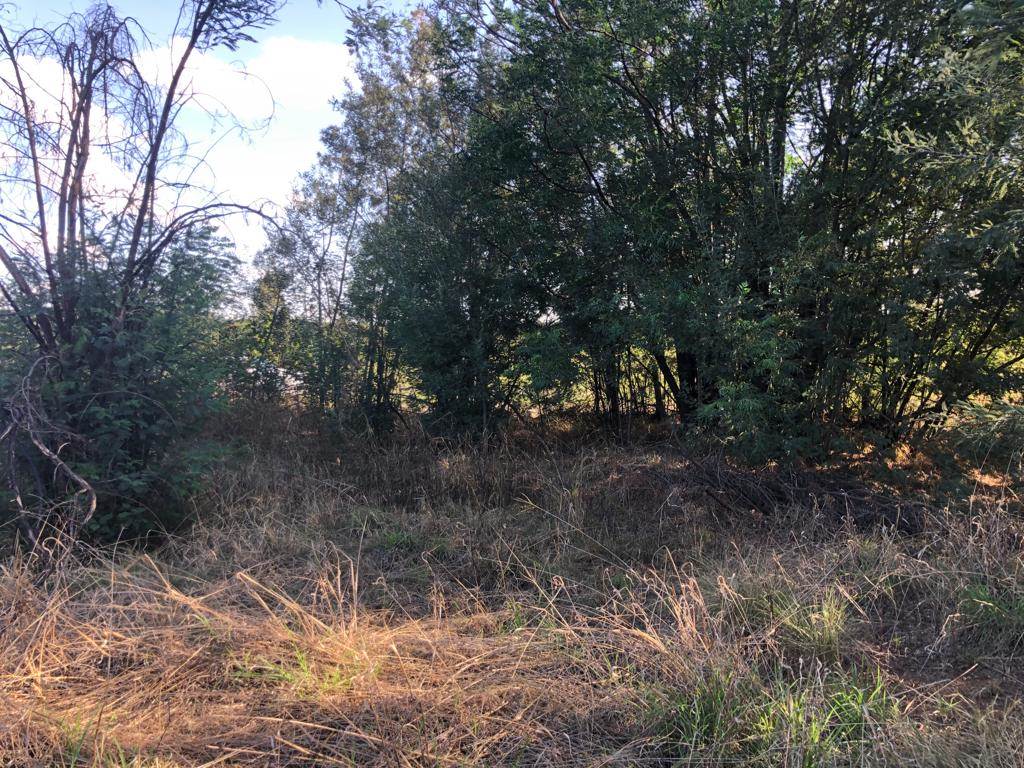 4.2 ha Land available in Tierpoort photo number 6