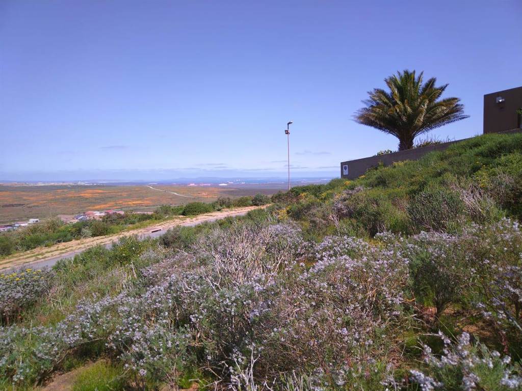 1048 m² Land available in Vredenburg photo number 2