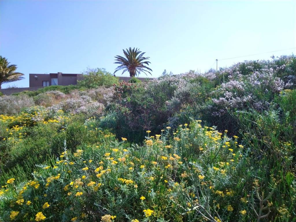 1048 m² Land available in Vredenburg photo number 8