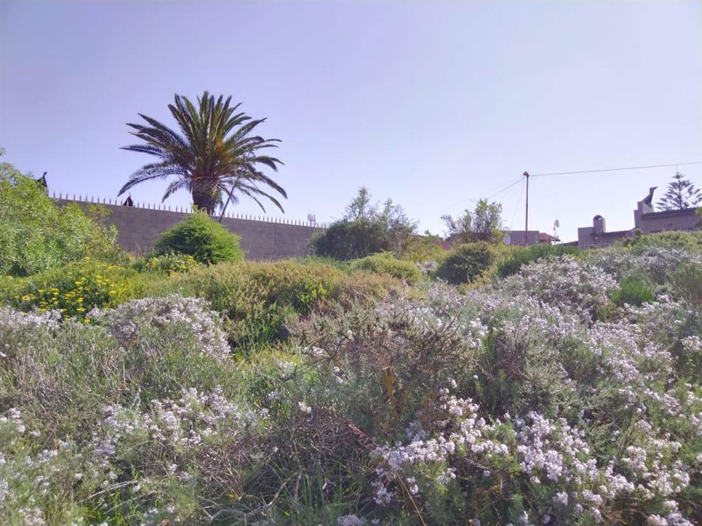 1048 m² Land available in Vredenburg photo number 9
