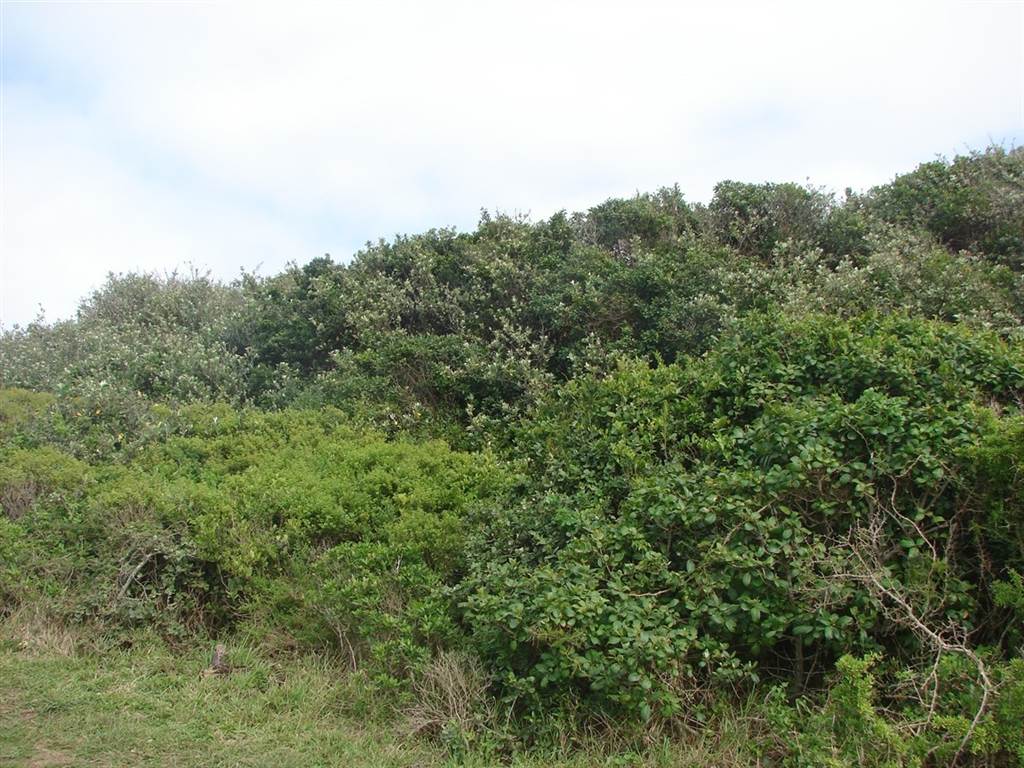 2658 m² Land available in Port Alfred photo number 2