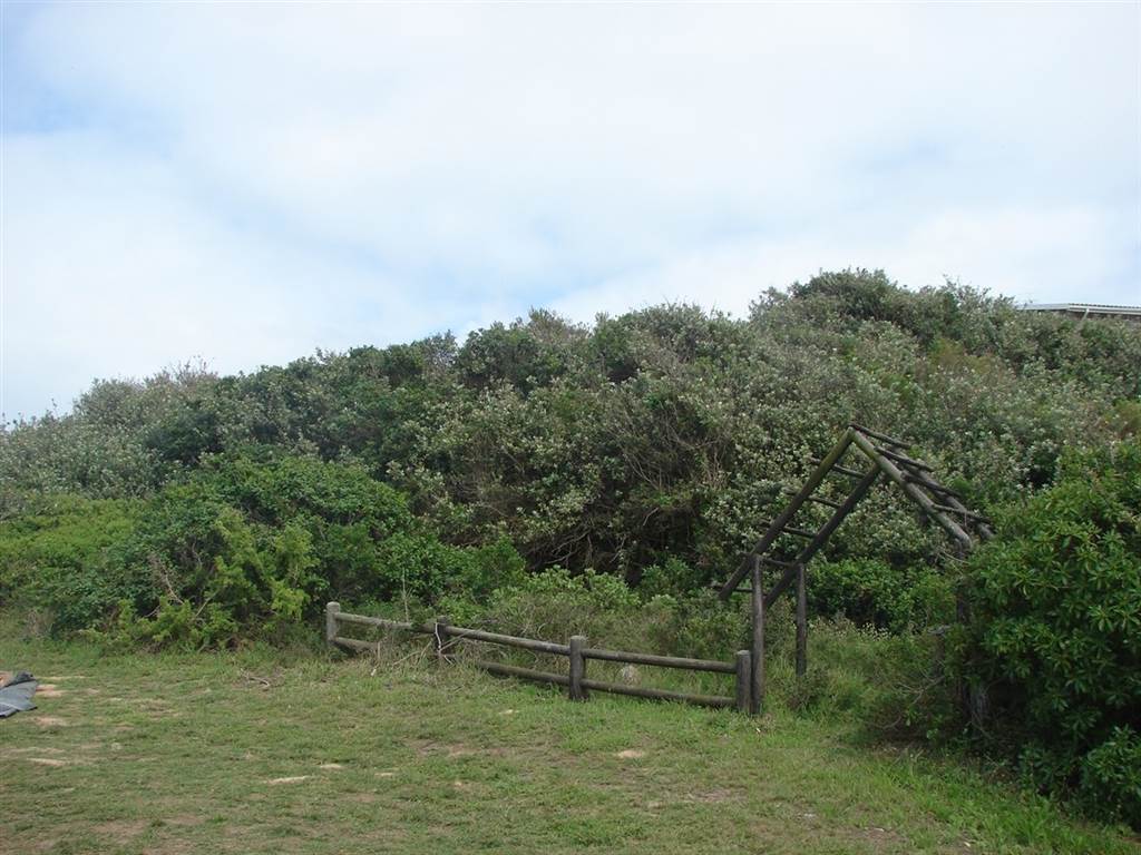 2658 m² Land available in Port Alfred photo number 1