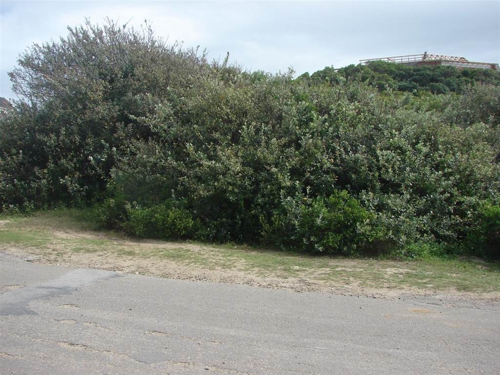 2658 m² Land available in Port Alfred photo number 5