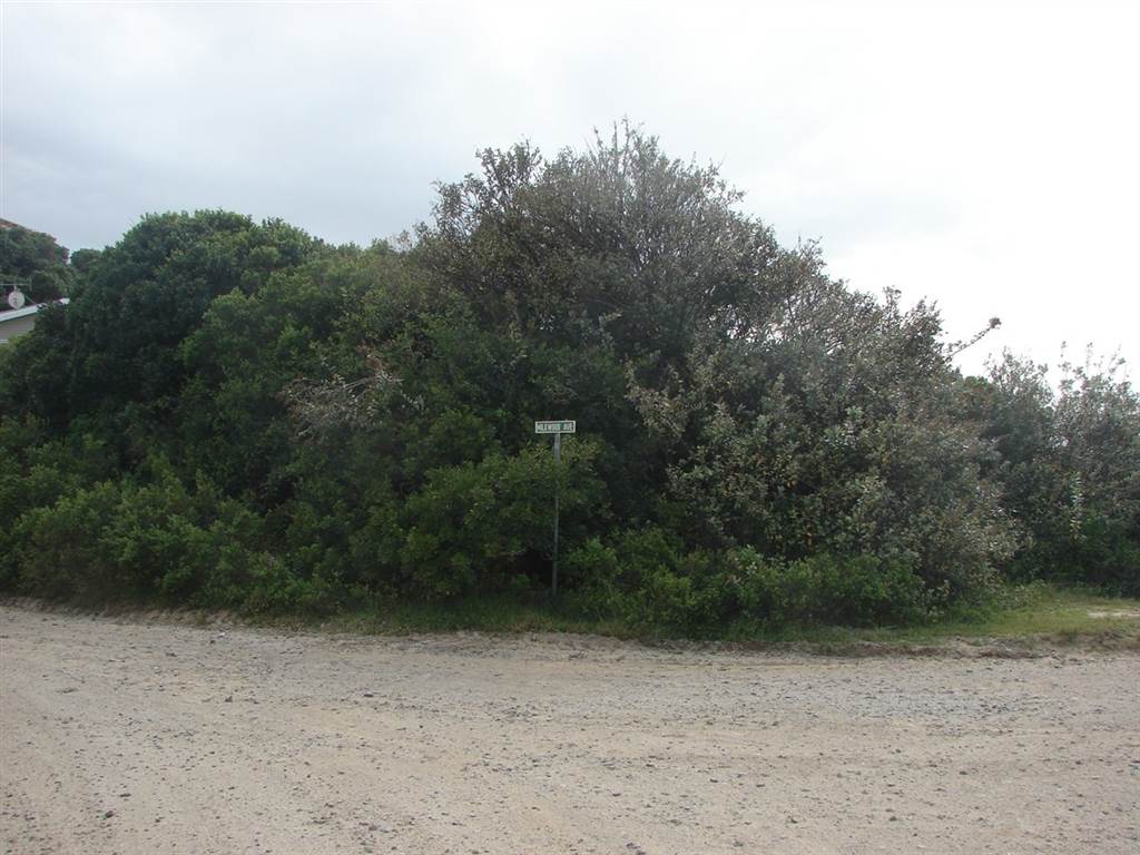 2658 m² Land available in Port Alfred photo number 3