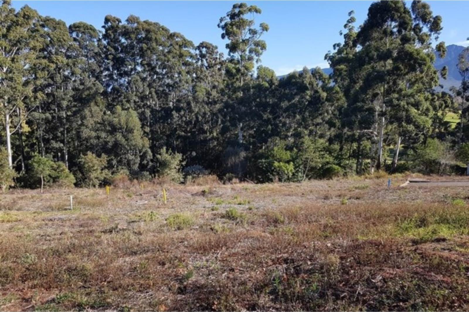 517 m² Land available in Heather Park photo number 5