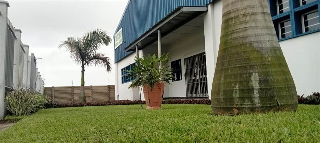 800  m² Industrial space in Richards Bay Central photo number 2