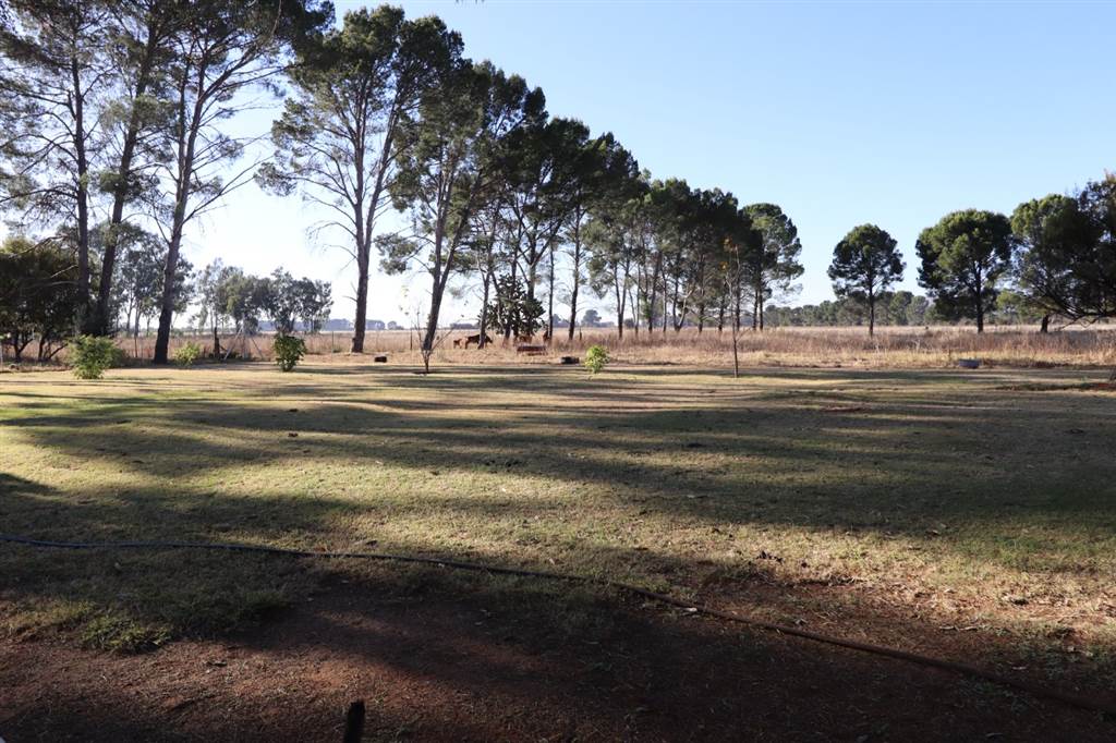 30 ha Farm in Bloemfontein Rural photo number 11