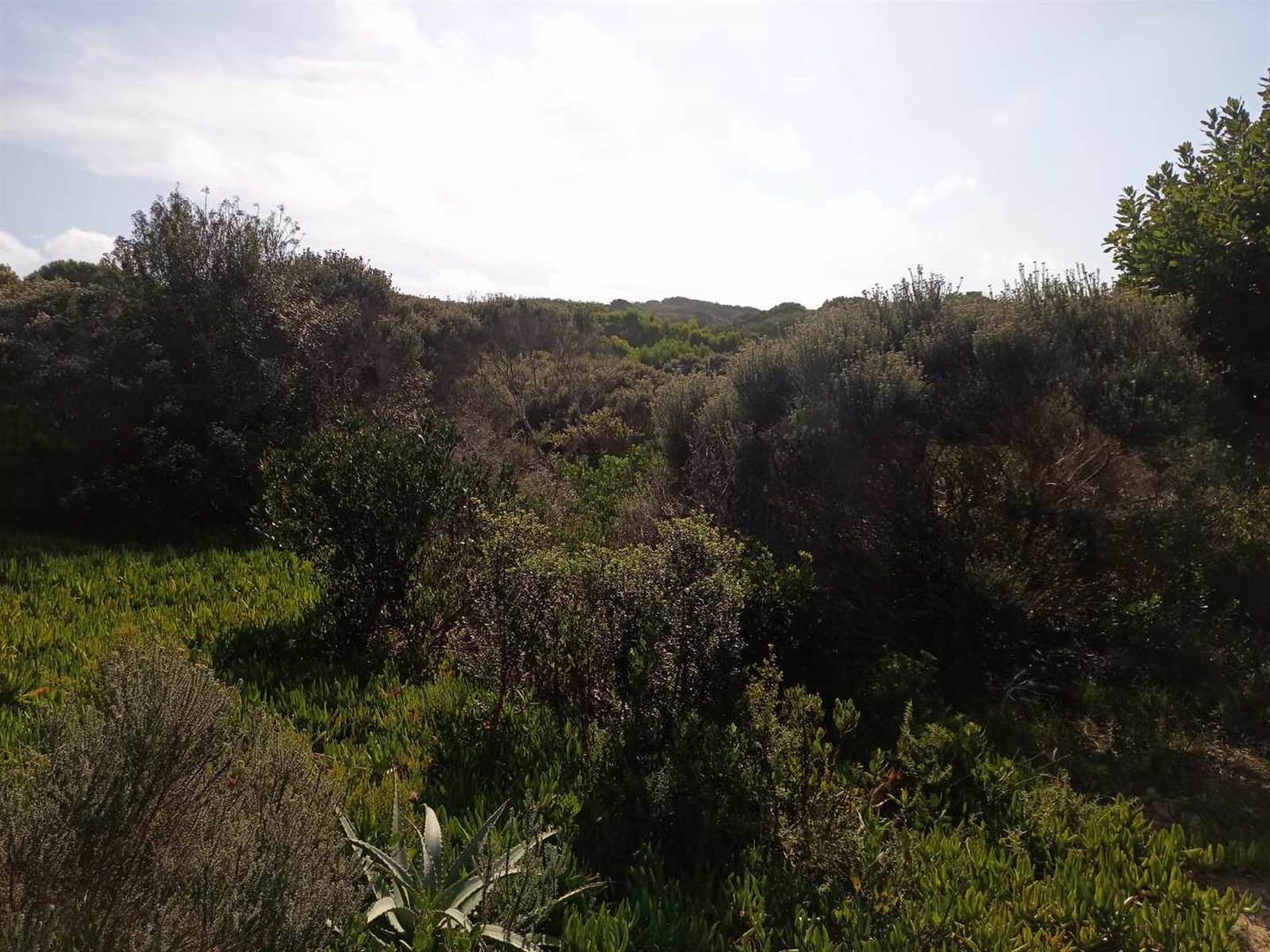 663 m² Land available in Still Bay East photo number 4