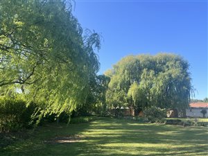 2 Bed House in Howick