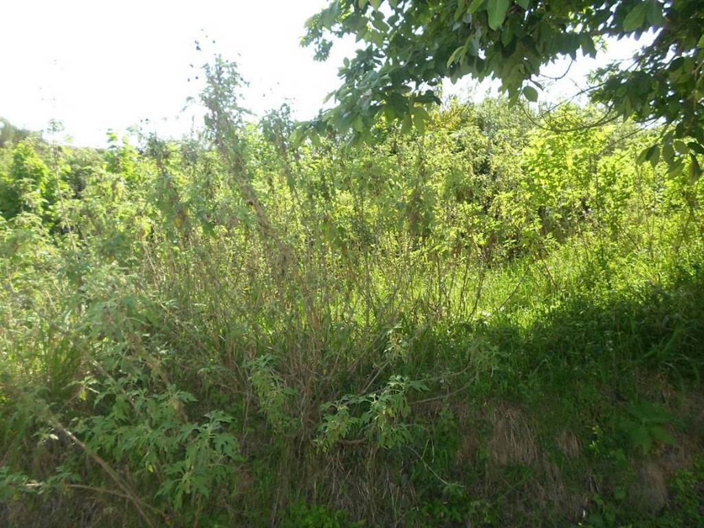 1.1 ha Land available in Umzinto photo number 5