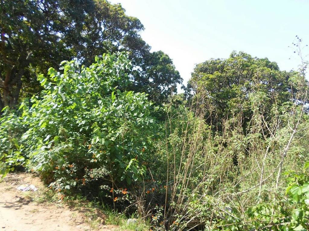 1.1 ha Land available in Umzinto photo number 7