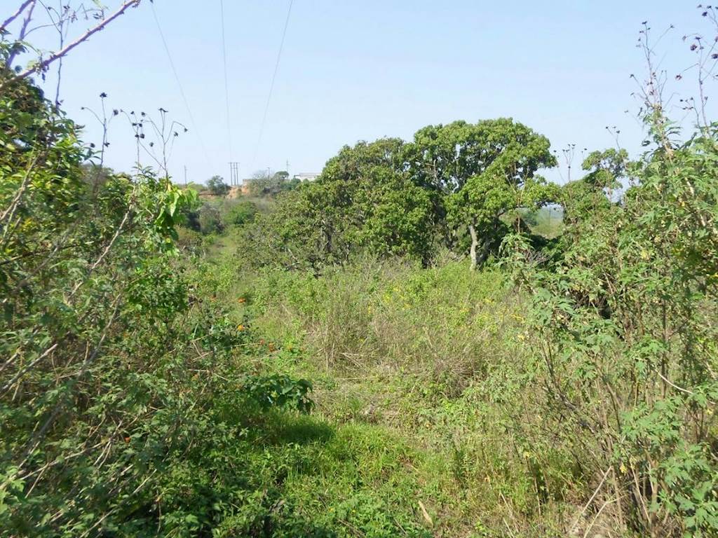 1.1 ha Land available in Umzinto photo number 3
