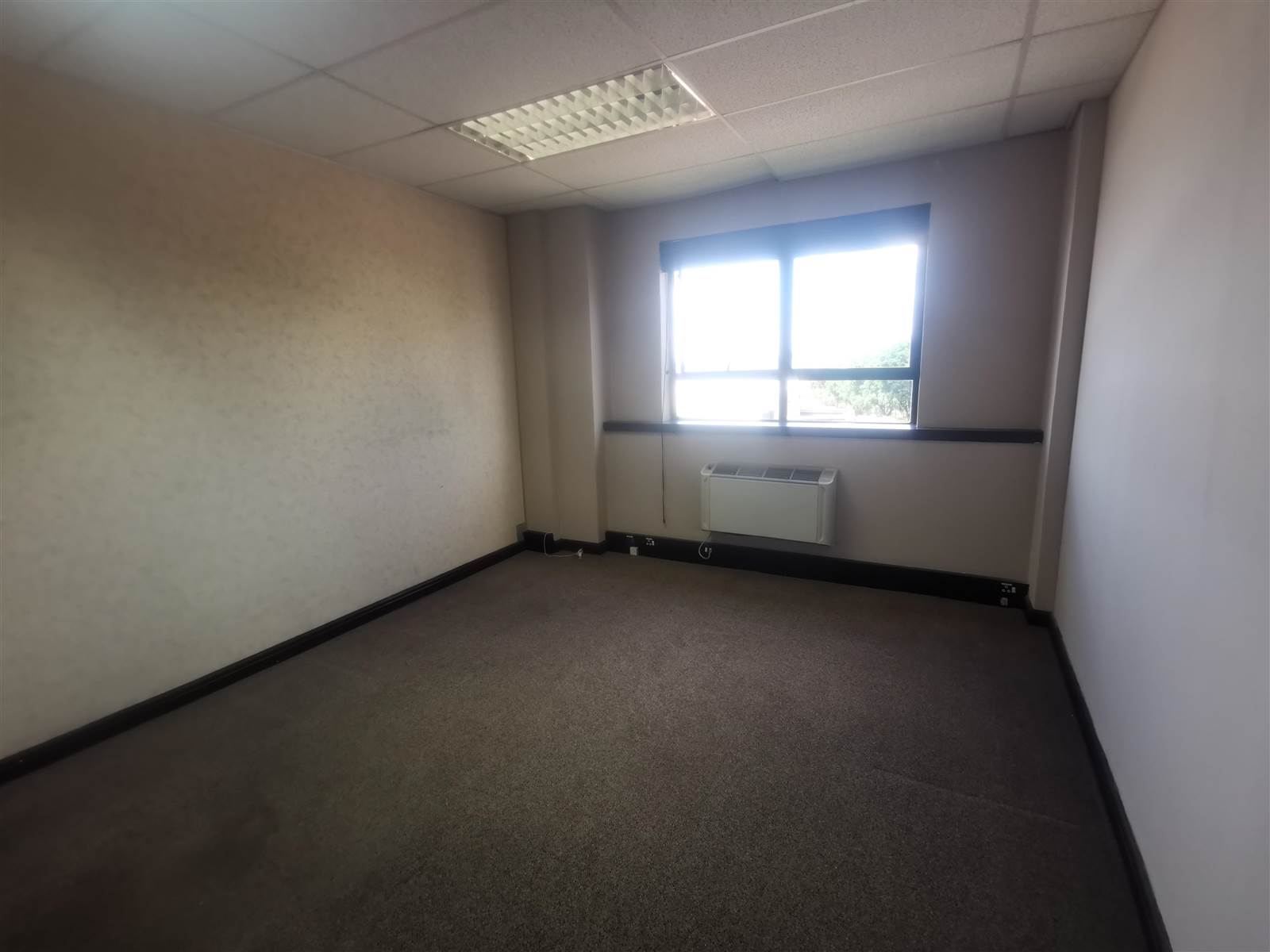 321  m² Commercial space in Allens Nek photo number 5