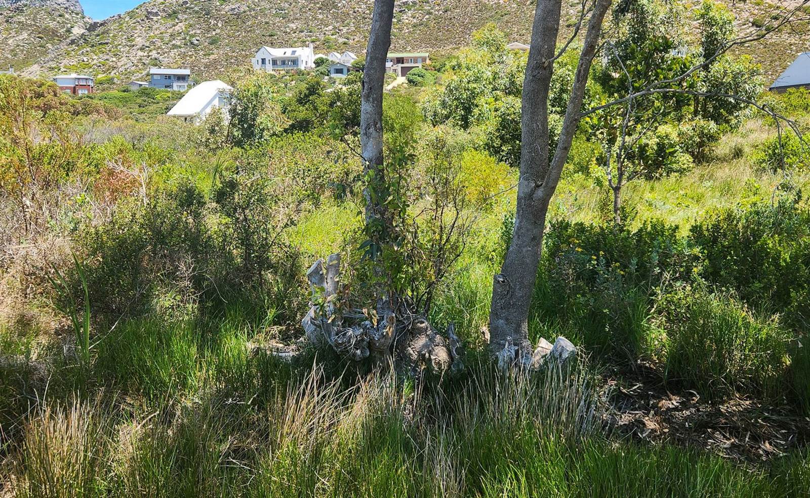 1871 m² Land available in Pringle Bay photo number 15