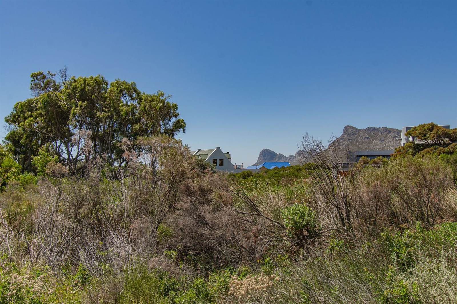 1871 m² Land available in Pringle Bay photo number 8