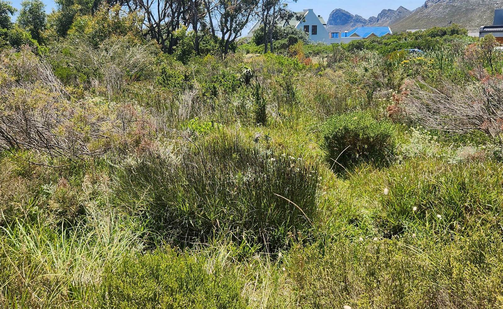 1871 m² Land available in Pringle Bay photo number 17