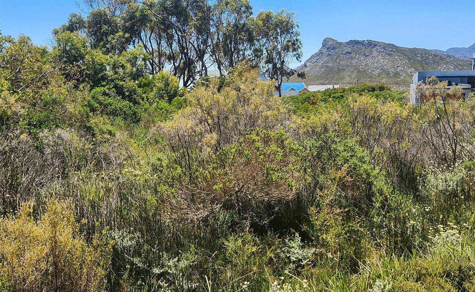 1871 m² Land available in Pringle Bay photo number 13
