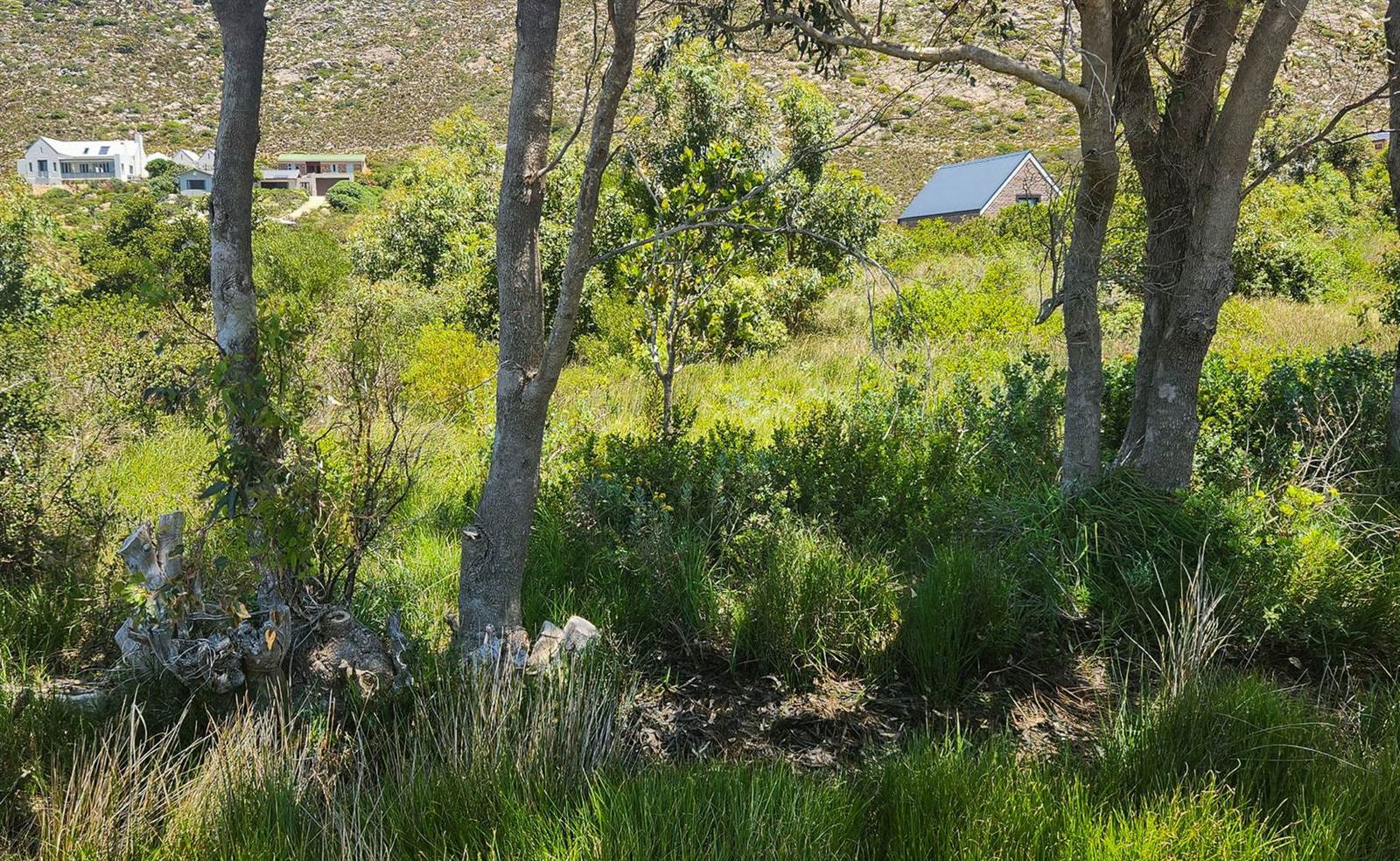 1871 m² Land available in Pringle Bay photo number 21