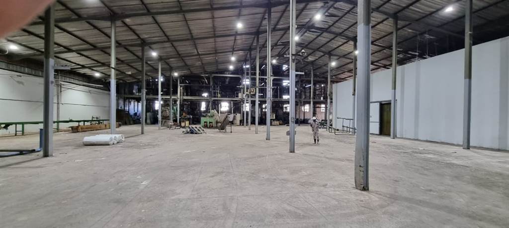 5260  m² Industrial space in Willowton photo number 4