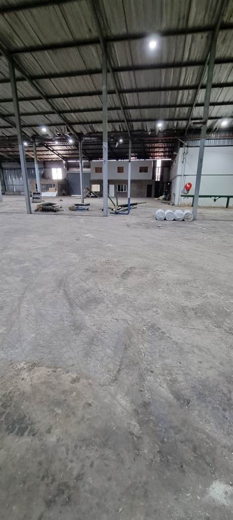 5260  m² Industrial space in Willowton photo number 5