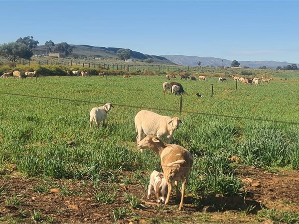 34 ha Farm 34 ha Farm