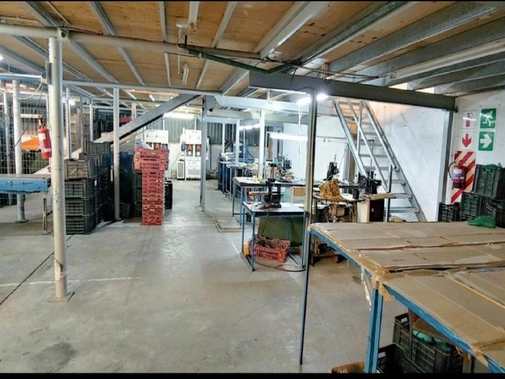 1300  m² Industrial space in Westmead photo number 15
