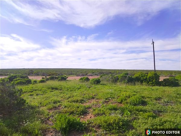 2.5 ha Land available in Jacobsbaai