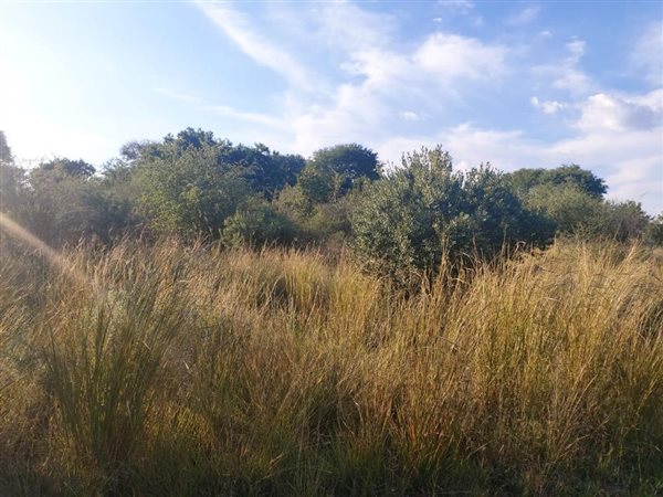 930 m² Land available in Seasons Lifestyle Estate