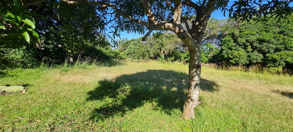 1740 m² Land available in Glenmore photo number 3