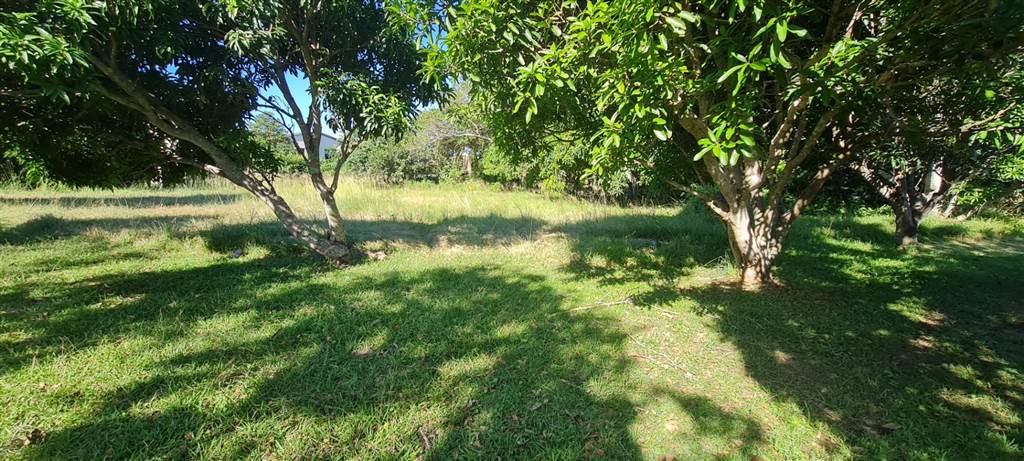 1740 m² Land available in Glenmore photo number 5