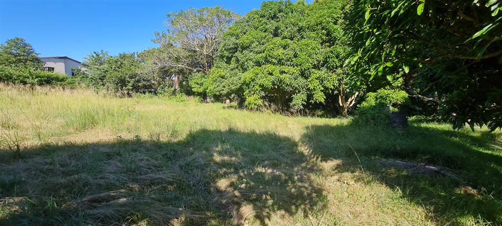 1740 m² Land available in Glenmore photo number 1