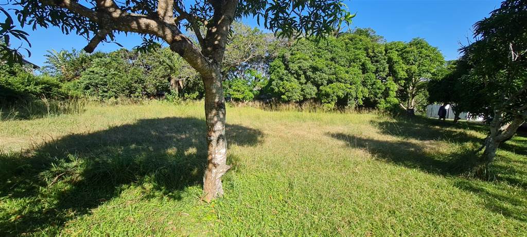 1740 m² Land available in Glenmore photo number 6