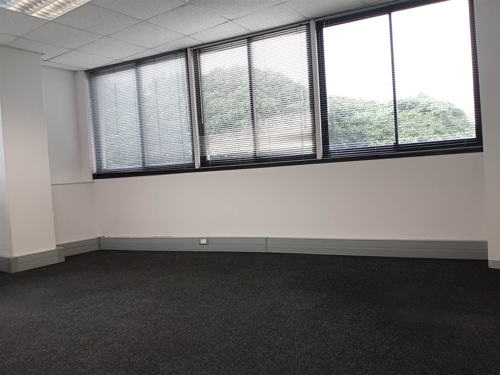 80  m² Office Space in Hillcrest Central photo number 8