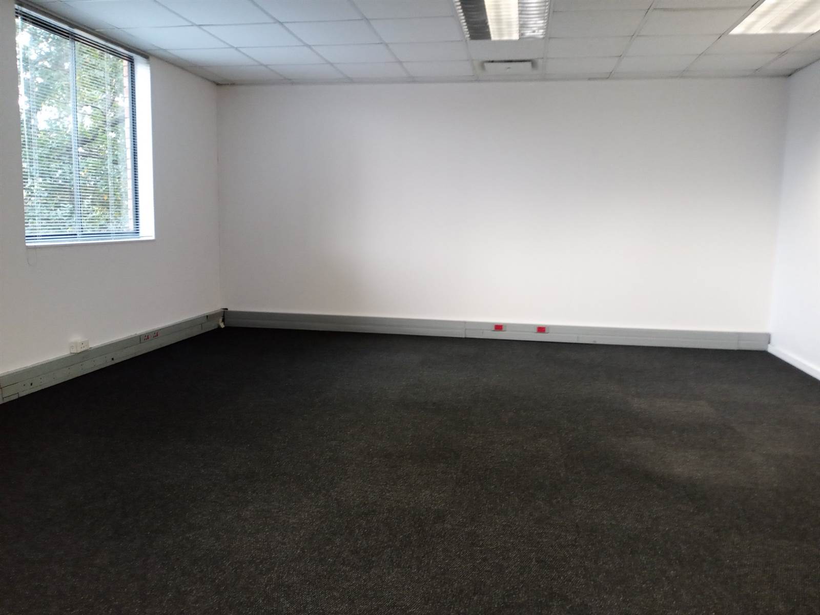 80  m² Office Space in Hillcrest Central photo number 1