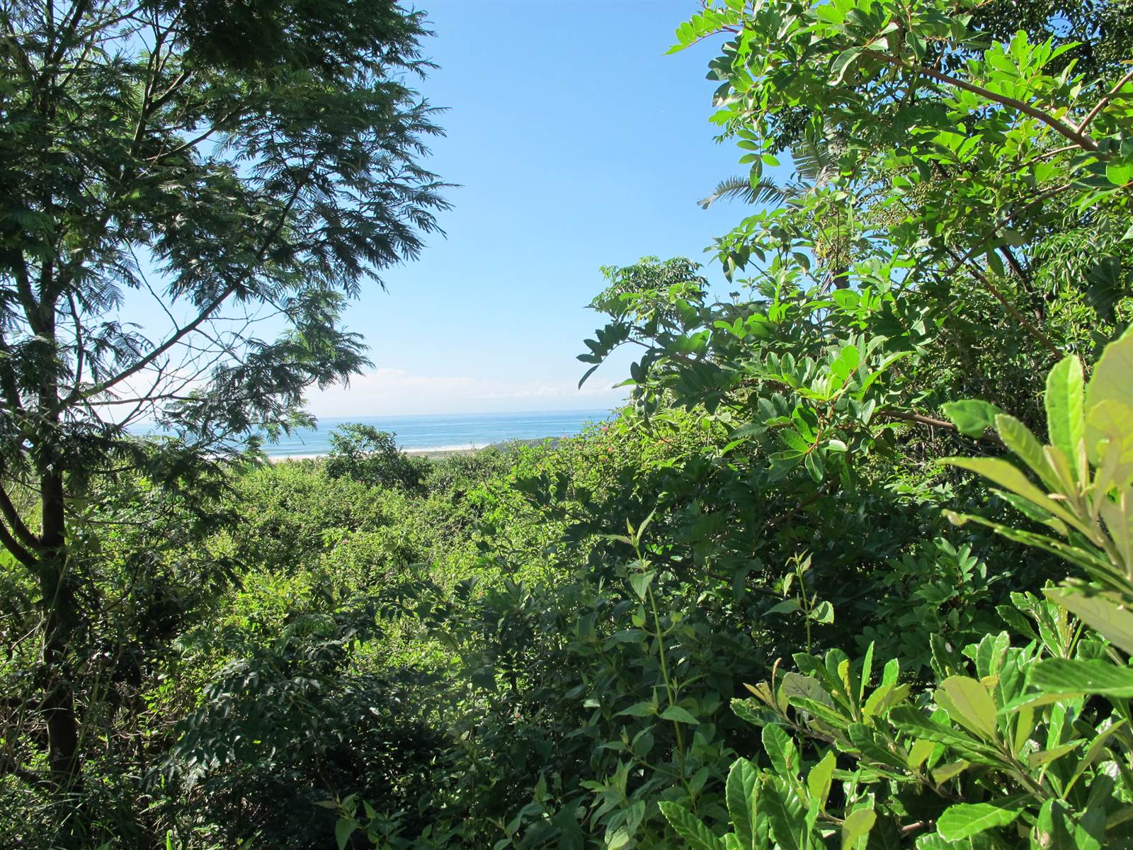 1.8 ha Land available in Shelly Beach photo number 4