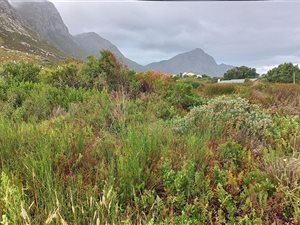 880 m² Land available in Bettys Bay