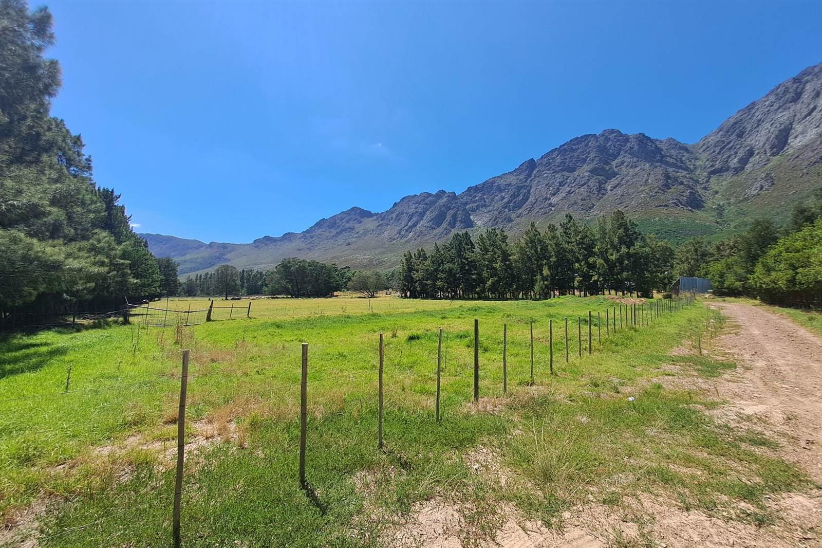 20 ha Farm in Franschhoek photo number 13