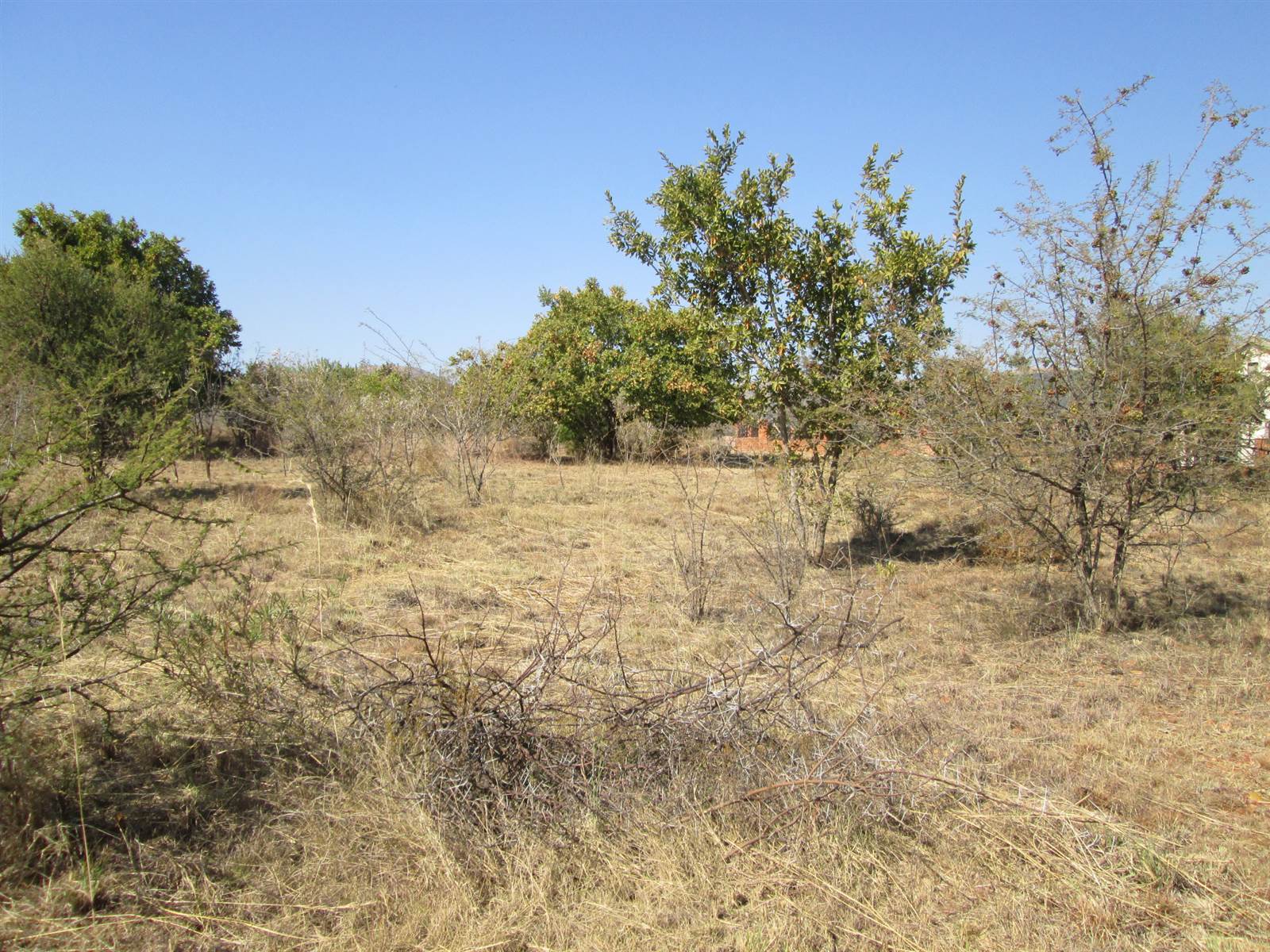 907 m² Land available in Seasons Lifestyle Estate photo number 2