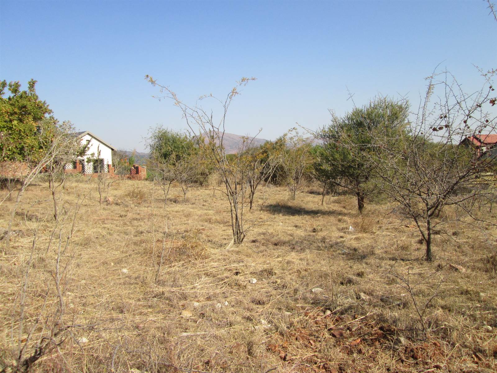 907 m² Land available in Seasons Lifestyle Estate photo number 5