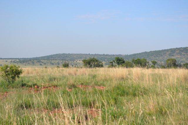 1772 m² Land available in Lekwena Wildlife Estate photo number 5