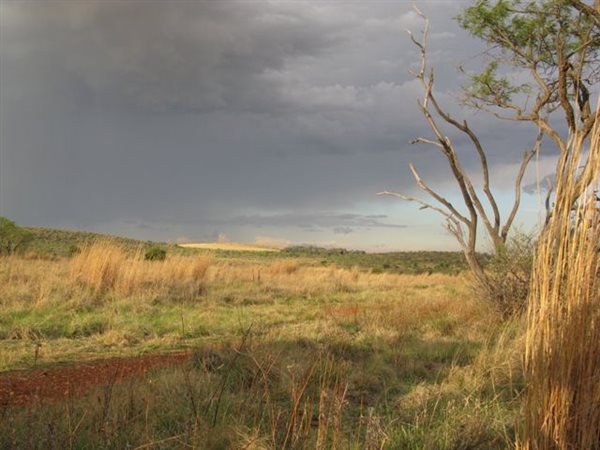 1772 m² Land available in Lekwena Wildlife Estate