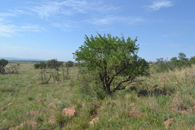 1772 m² Land available in Lekwena Wildlife Estate photo number 4
