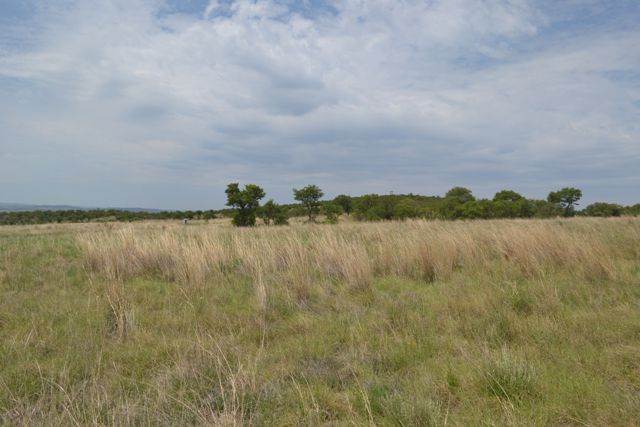 1772 m² Land available in Lekwena Wildlife Estate photo number 7