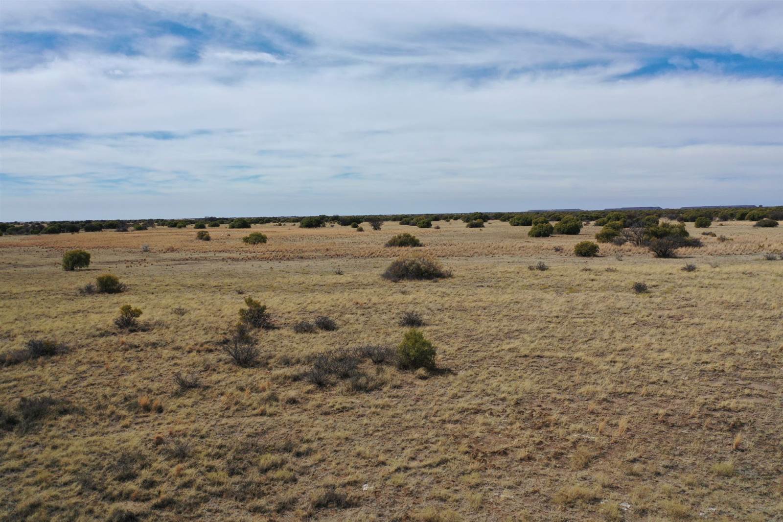 653 ha Land available in Hartswater photo number 5