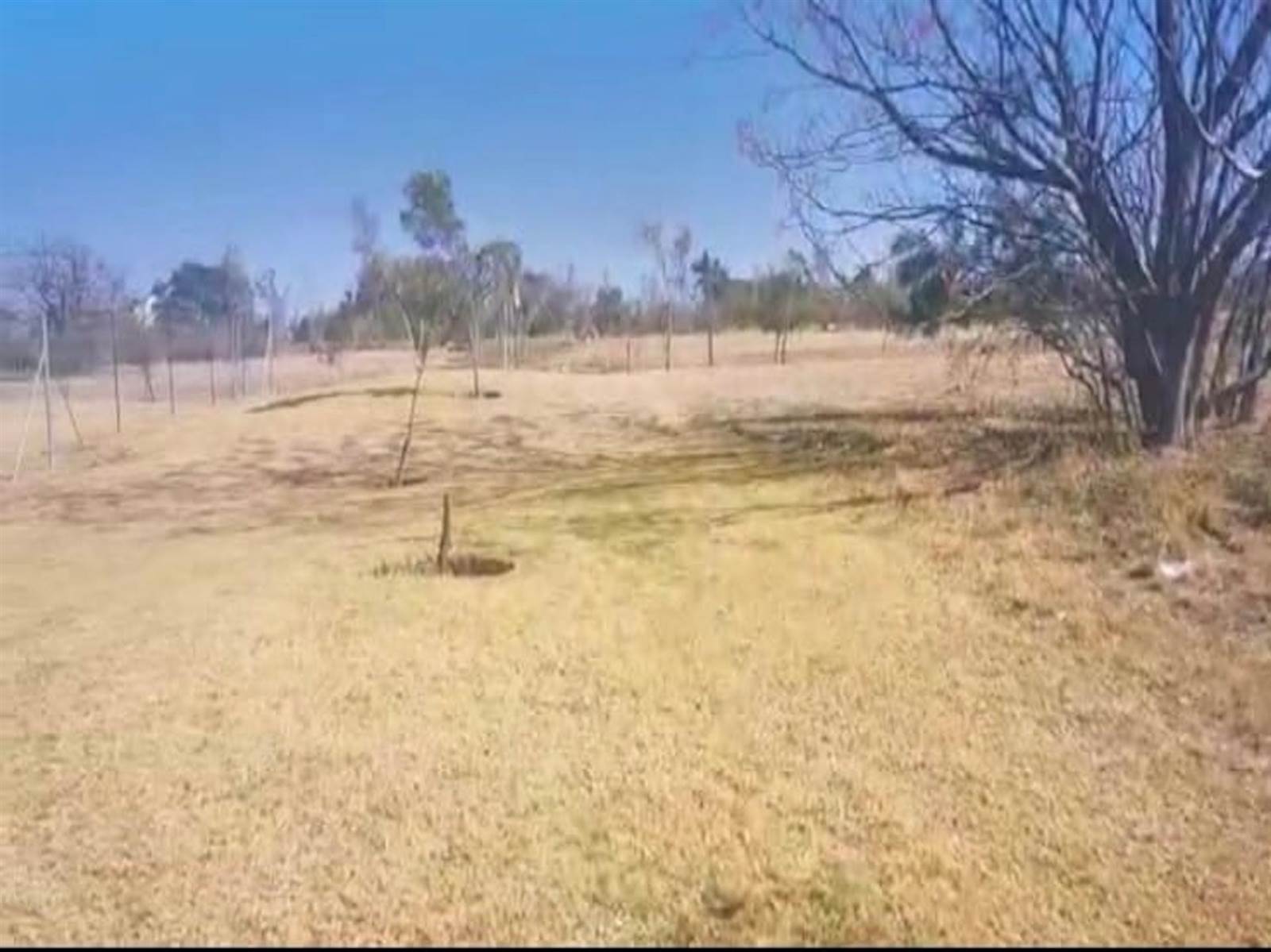 1050 m² Land available in Steyn City photo number 4