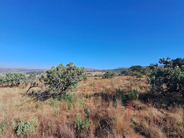1.3 ha Land