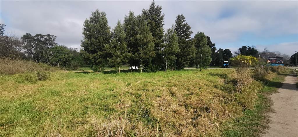 5726 m² Land available in Old Place photo number 5