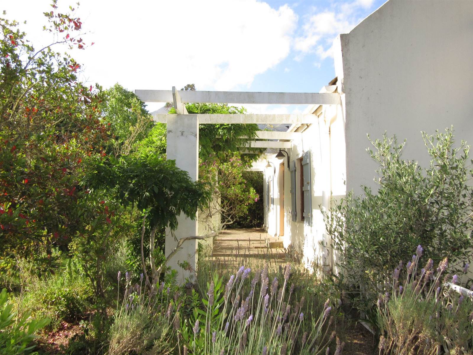 3 Bed House in Greyton photo number 6